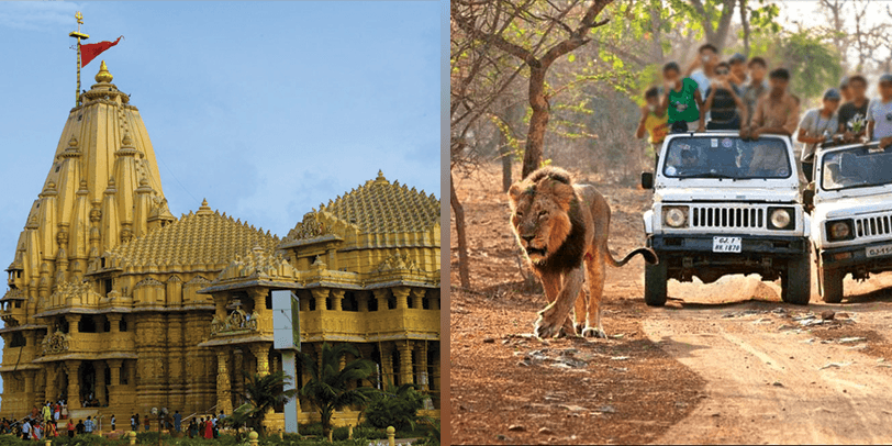 Dwarka Somnath Gir Tour Package