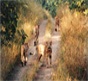 Dwarka Somnath Gir National Park Tour