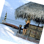 Honeymoon package for Honeymooner