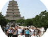 pilgrimage tours, religious pilgrimage