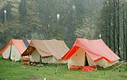 rishikesh packages